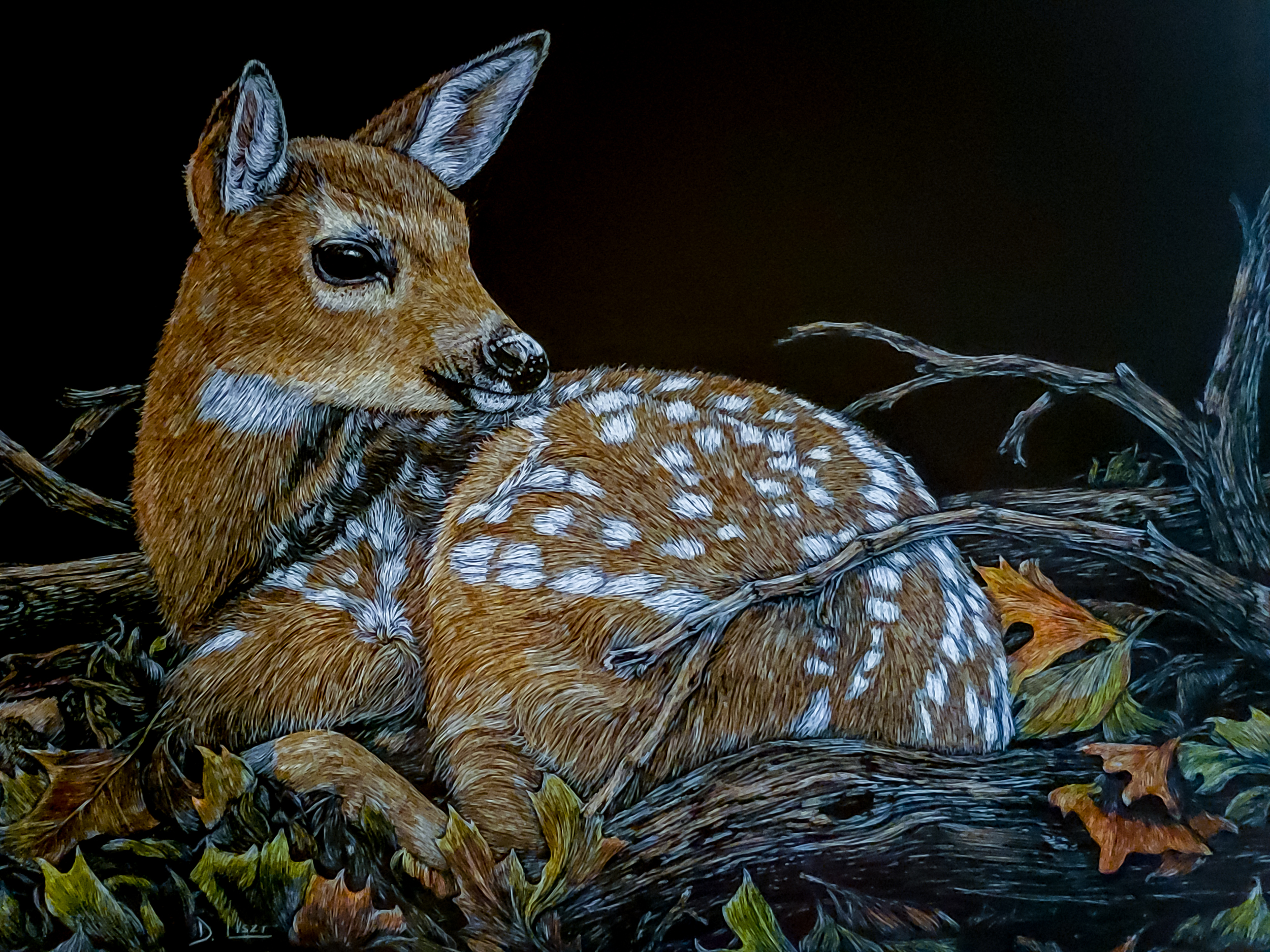 Photograph of scratchboard art created by Deborah Liszt depicting a faun laying in autumn vegetation