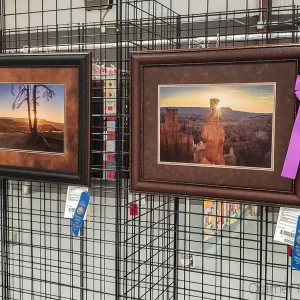 Photo of 2 Audrey Cramer Photography landscape photographs receiving blue ribbons and sweepstakes awards at Garfield Utah County Fair 2020
