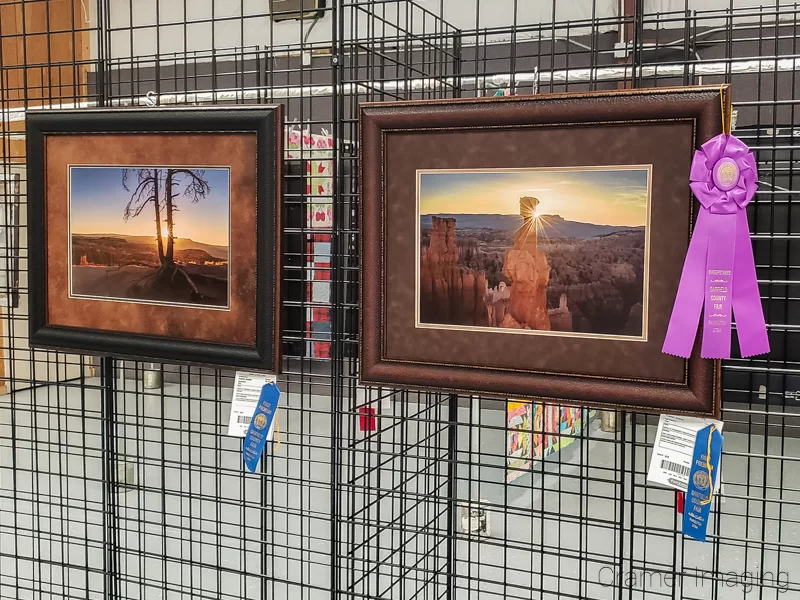 Photo of 2 Audrey Cramer Photography landscape photographs receiving blue ribbons and sweepstakes awards at Garfield Utah County Fair 2020