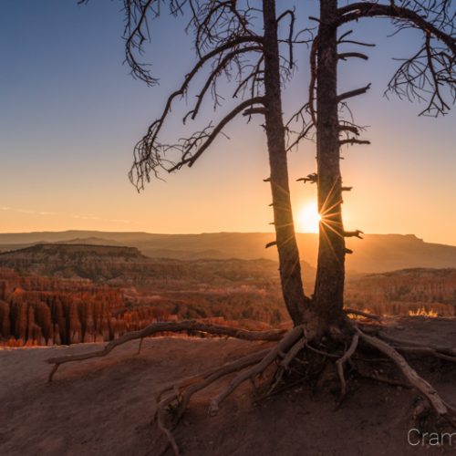 Cramer Imaging's fine art landscape photograph of the sun rising over Bryce Canyon National Park Utah on the summer solstice